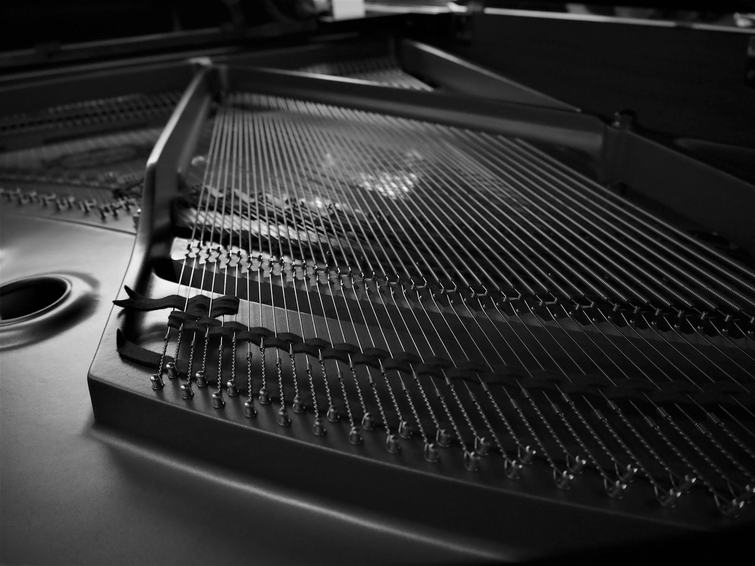 Detailed black and white photo of piano strings showcasing intricate design and craftsmanship.